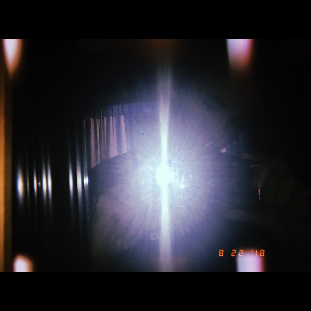 Meet your Posher, Lilly